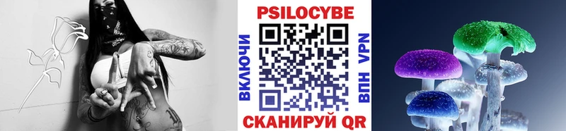 Галлюциногенные грибы прущие грибы  Черняховск 