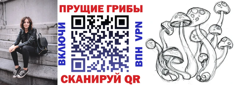 Псилоцибиновые грибы ЛСД Черняховск